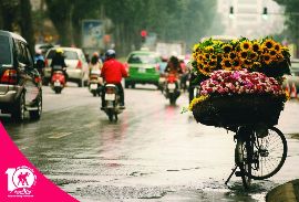 Người phụ nữ bán hoa trên xe đạp
