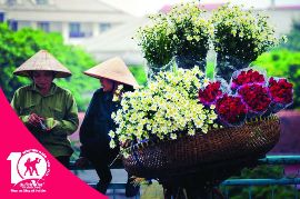 Những chiếc xe chở hoa rực rỡ sắc màu