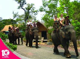 Vườn Quốc gia Yok Đôn