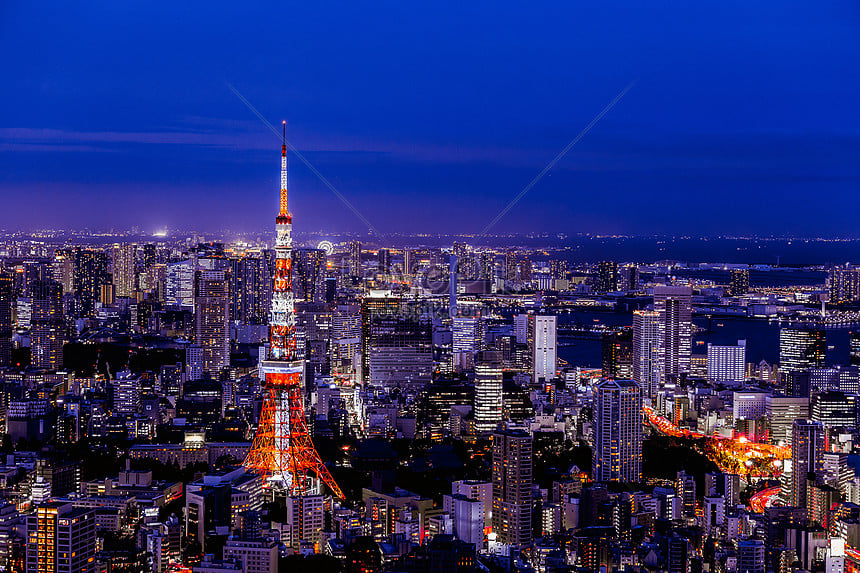 Tokyo về đêm lung linh