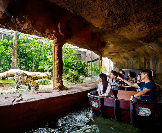 Free and Easy - Vé tham quan Singapore River Safari giá tốt