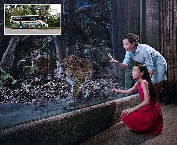 Free and Easy - Vé tham quan Singapore Night Safari và Dịch vụ đưa đón 2 chiều