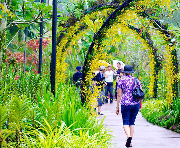 Free and Easy - Vé tham quan Vườn lan quốc gia Singapore