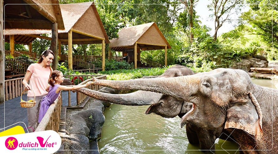Free and Easy - Vé tham quan Singapore Zoo giá tốt