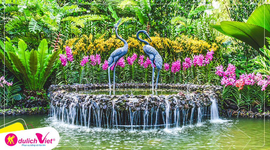Free and Easy - Vé tham quan Vườn lan quốc gia Singapore