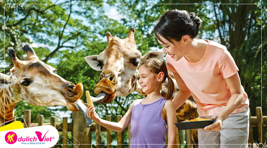 Free and Easy - Vé tham quan Singapore Zoo giá tốt