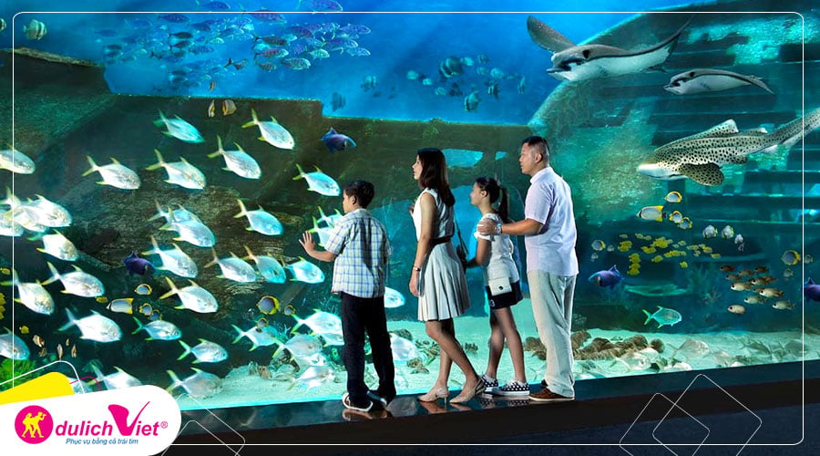 Free and Easy - Combo S.E.A Aquarium và Gardens by the Bay