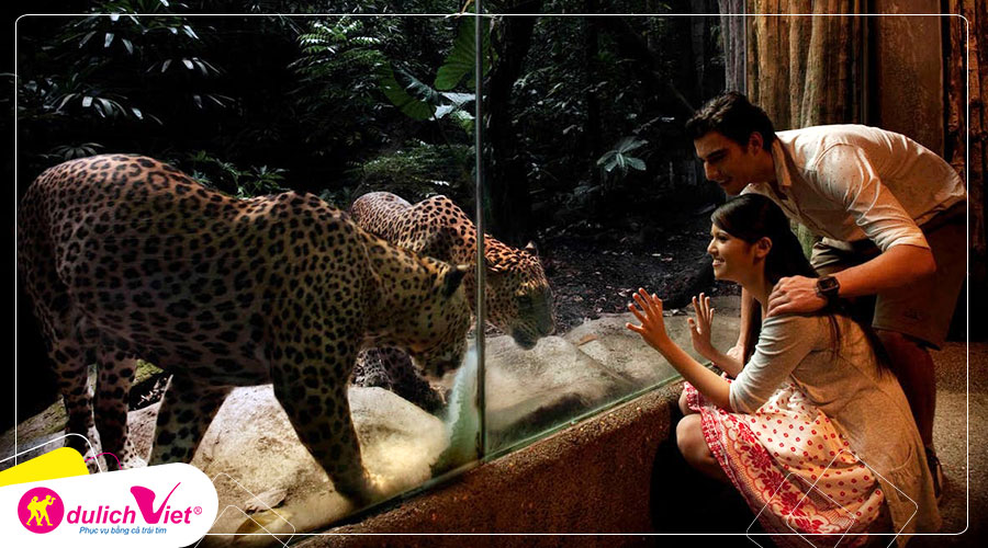 Free and Easy - Vé tham quan Night Safari Singapore giá tốt