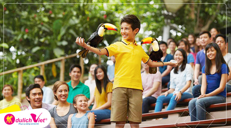 Free and Easy - Vé Tham Quan Vườn Chim Jurong có xe đưa đón 2 chiều