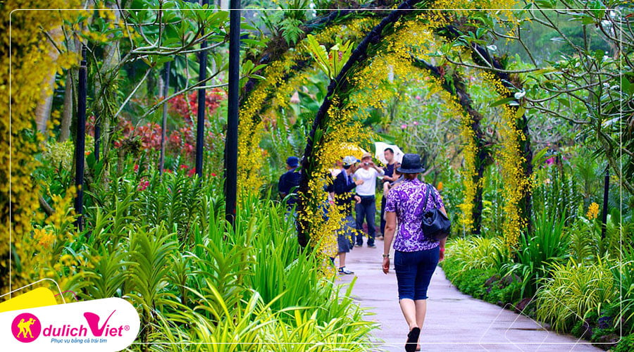 Free and Easy - Tour tham quan công viên Merlion + Vườn lan quốc gia và khu Tiểu Ấn