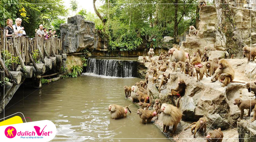 Free and Easy - Vé tham quan Singapore Zoo giá tốt