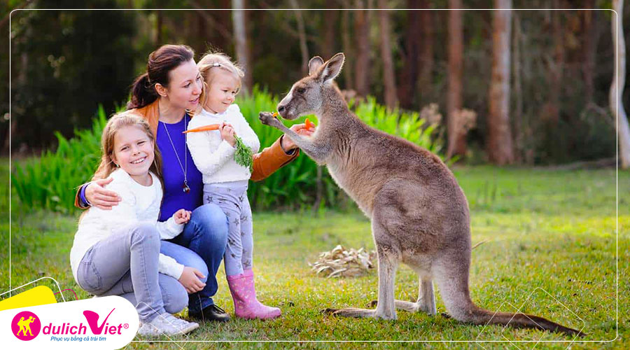 Du lịch Úc mùa Đông Khám phá Sydney 5N4Đ từ Sài Gòn giá tốt