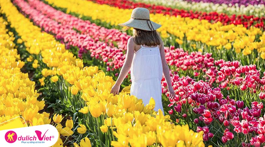 Du lịch Úc - Melbourne - Lễ hội hoa Tulip mùa Xuân khởi hành từ Sài Gòn giá tốt