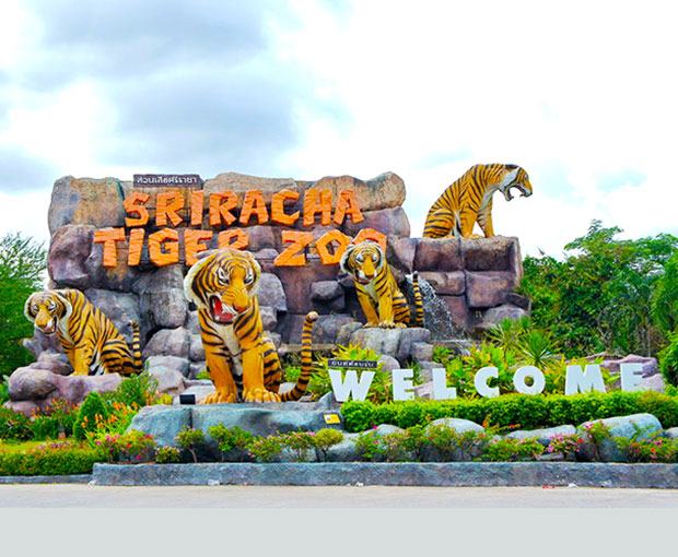 Du lịch Thái Lan Hè tham quan thủy cung Pattaya từ Sài Gòn giá tốt