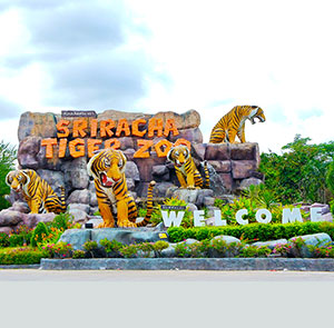 Du lịch Thái Lan Hè tham quan thủy cung Pattaya từ Sài Gòn giá tốt