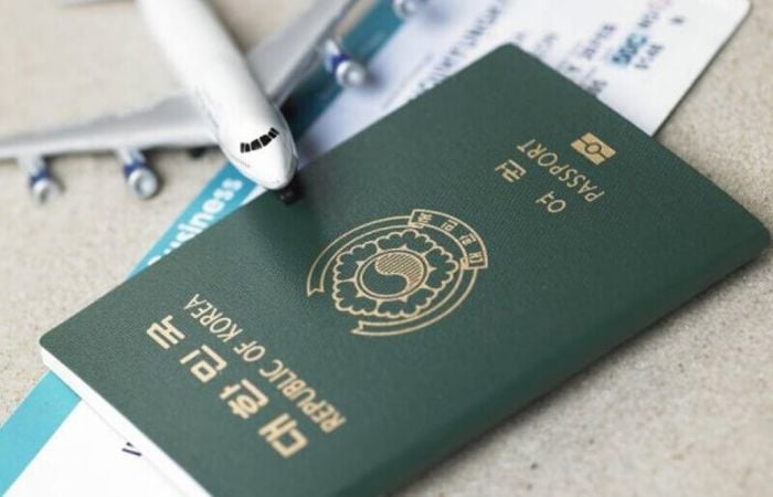 Visa D8 Hàn Quốc: Tìm Hiểu và Hồ Sơ Cần Chuẩn Bị
