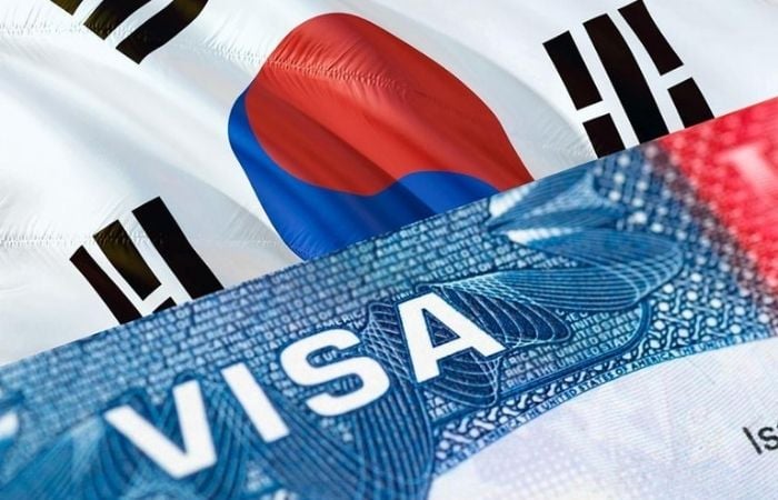 Visa F4 Hàn Quốc: "Tấm Vé Vàng" Cho Người Gốc Hàn Quốc Ở Nước Ngoài