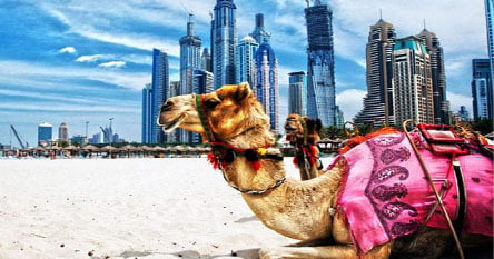 Dịch vụ visa du lịch Dubai từ Hà Nội chi tiết