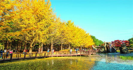 Visa du lịch Hàn Quốc từ Hà Nội