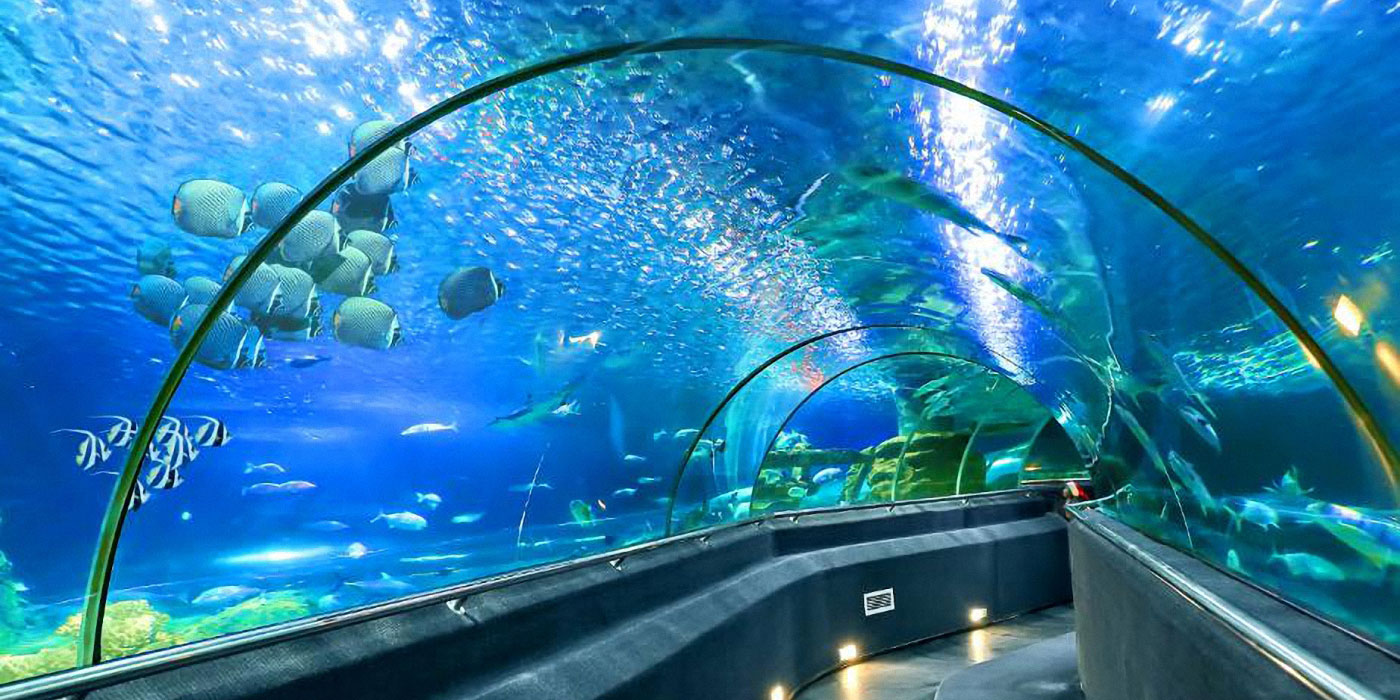 Du lịch Nha Trang - Viện Hải dương học