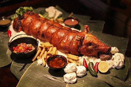 Lợn cắp n&aacute;ch Lai Ch&acirc;u nguy&ecirc;n con
