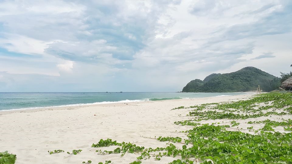 Vẻ đẹp tự nhiên xinh đẹp trên bãi biển Ngọc Vừng