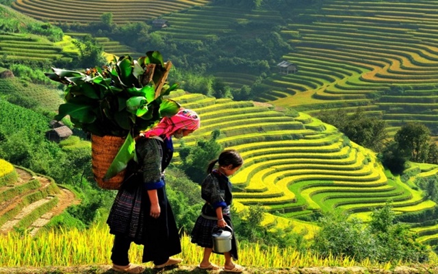 Bản Sín Chải Sapa