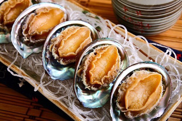 Bào ngư là món ăn rất giàu dinh dưỡng và có giá thành khá đắt đỏ ở Phú Quốc