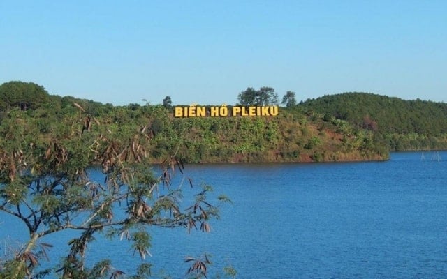 p>