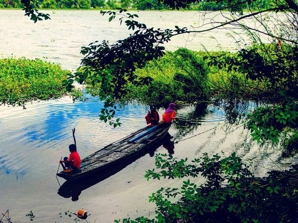 Búng Bình Thiên rực rỡ sắc hoa súng và điên điển
