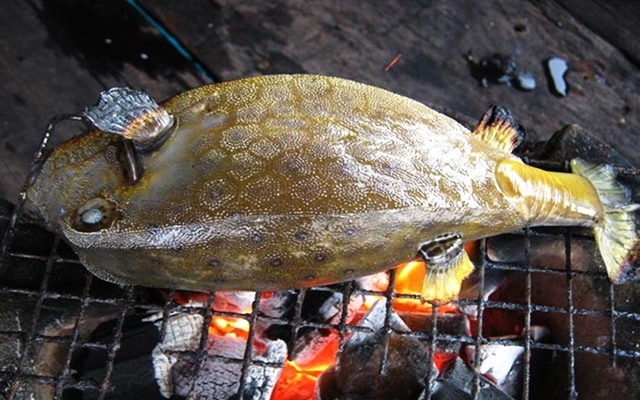 Đặc sản Nam Du cá bò hòm nướng
