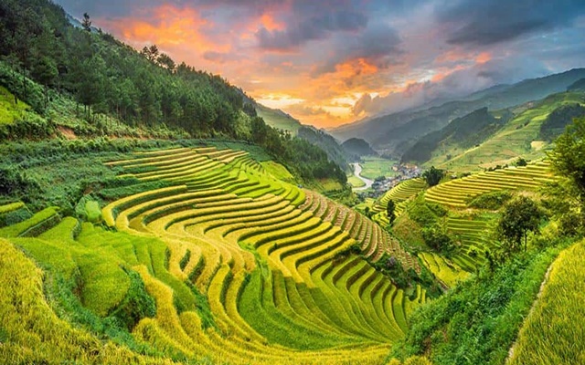 Cánh đồng Mường Than Lai Châu