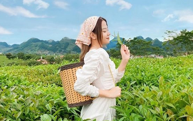 Chi phí để đi du lịch hè Mộc Châu tự túc tiết kiệm di chuyển bằng phương tiện gì?