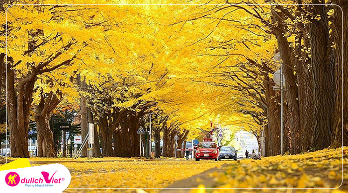 cong-vien-meiji-jingu-gaien-du-lich-viet