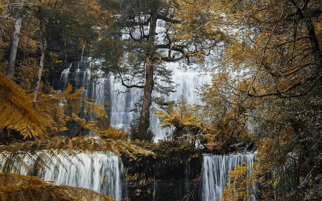 Công viên Quốc gia Mount Field