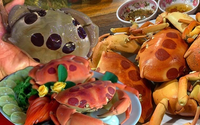 Cua Mặt Trăng đặc sản Côn Đảo