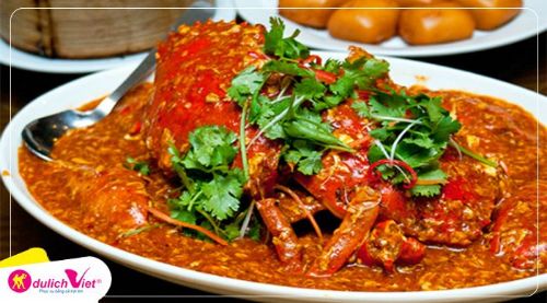 bao-tang-kem-singapore-du-lich-viet