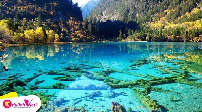 cuu-trai-cau-viet-media-travel(2)