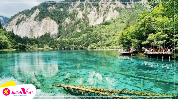 cuu-trai-cau-viet-media-travel(2)