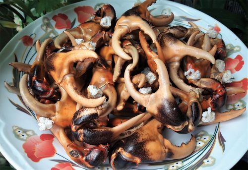 đặc sản An Giang mùa nước nổi