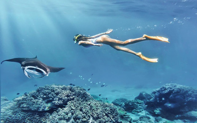 Đảo Bunaken nổi tiếng với hệ sinh thái đa dạng