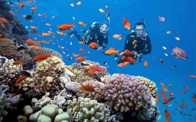 Cảnh du khách trải nghiệm đi bộ dưới đáy biển (Sea Walking) tại Hòn Mun, Nha Trang, với mũ bảo hiểm chuyên dụng, xung quanh là các loài cá và san hô rực rỡ, ánh nắng chiếu rọi qua làn nước trong vắt.