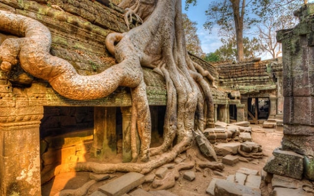 Đền Ta Prohm