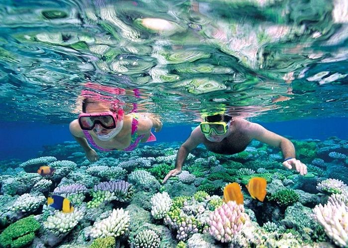 Thiên đường dành cho các thợ lặn