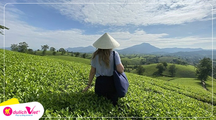 doi-che-thanh-son-phu-tho-du-lich-viet(1)