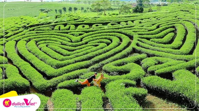 doi-che-trai-tim-moc-chau-du-lich-viet