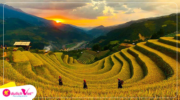 doi-mong-ngua-mu-cang-chai-vao-mua-lua-chin-vang-du-lich-viet