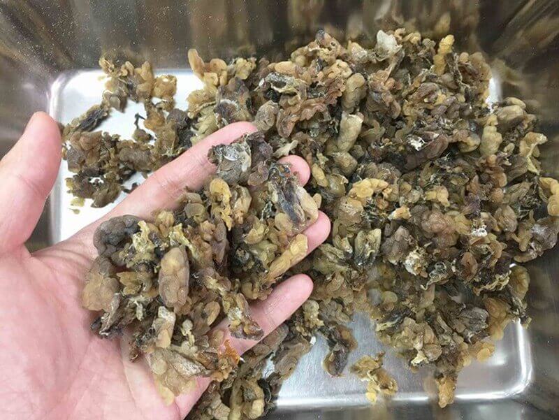 Du lịch Singapore - Món ống dẫn trứng của ếch