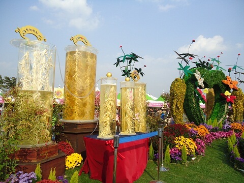 Du lịch Hàn Quốc mùa Thu - Lễ hội nhân sâm