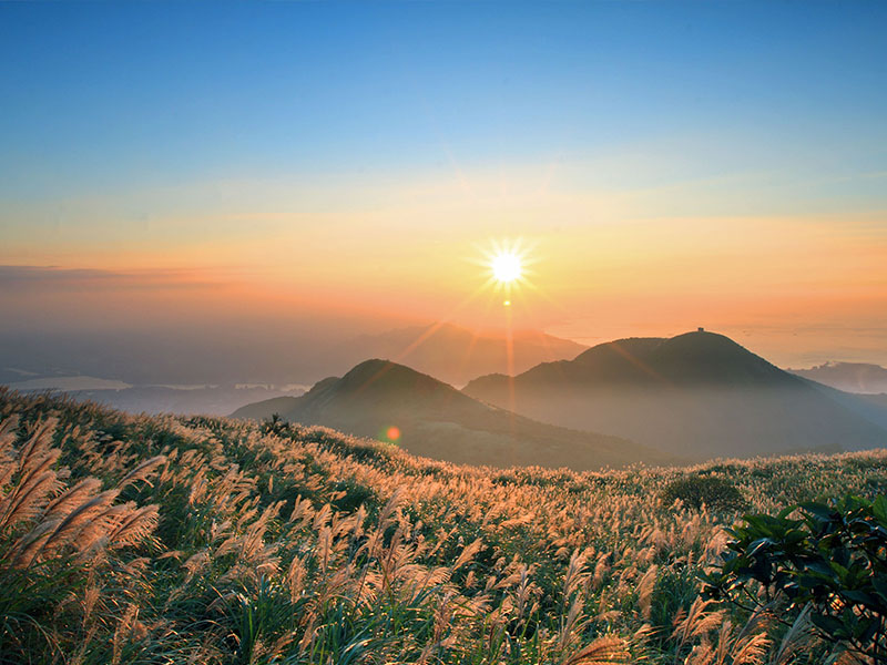 Núi Yangming với những cánh đồng hoa rực rỡ